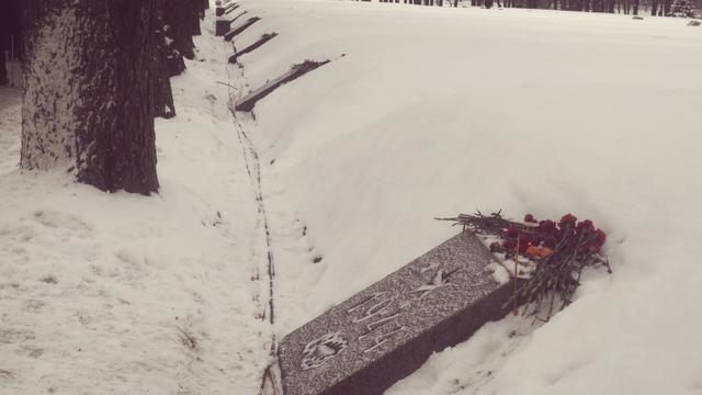 В память о блокаде Ленинграда