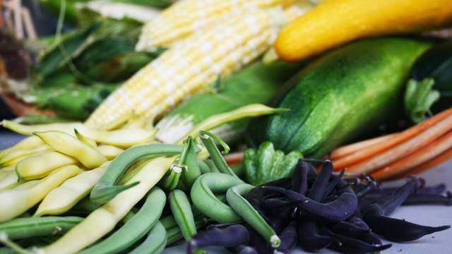 Здоровый образ жизни